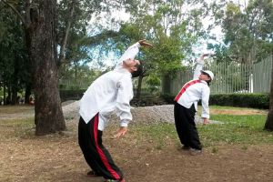 Clases Privadas (Individuales, Grupales y/o a Domicilio